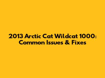 2013 Arctic Cat Wildcat 1000: Common Issues & Fixes