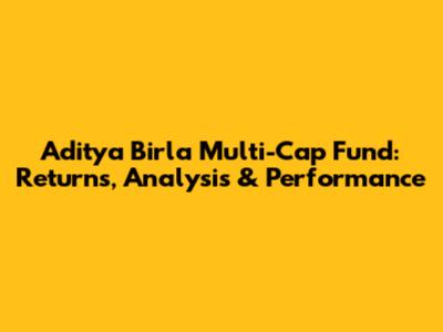 Aditya Birla Multi-Cap Fund: Returns, Analysis & Performance