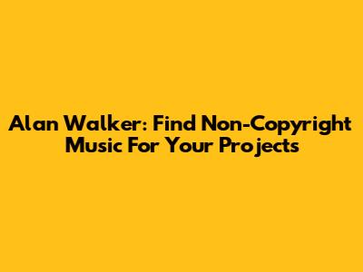 Alan Walker: Find Non-Copyright Music For Your Projects