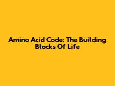 Amino Acid Code: The Building Blocks Of Life