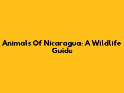 Animals Of Nicaragua: A Wildlife Guide