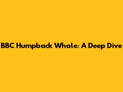BBC Humpback Whale: A Deep Dive
