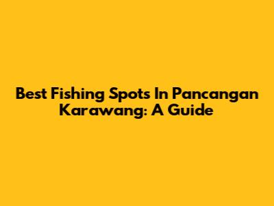 Best Fishing Spots In Pancangan Karawang: A Guide