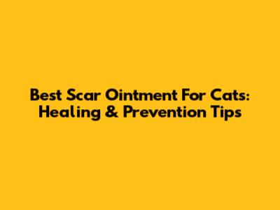 Best Scar Ointment For Cats: Healing & Prevention Tips