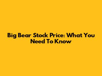 Big Bear Stock Price: What You Need To Know