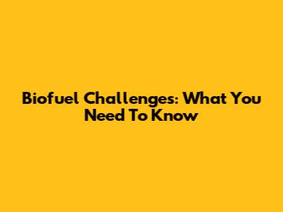 Biofuel Challenges: What You Need To Know