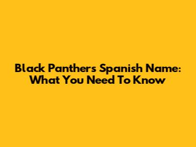 Black Panther's Spanish Name: What You Need To Know