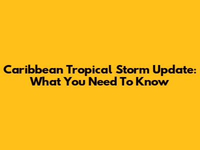 Caribbean Tropical Storm Update: What You Need To Know