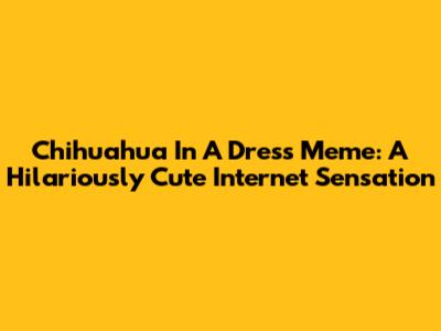 Chihuahua In A Dress Meme: A Hilariously Cute Internet Sensation