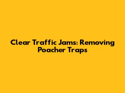 Clear Traffic Jams: Removing Poacher Traps