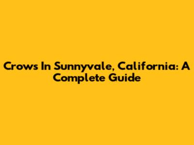 Crows In Sunnyvale, California: A Complete Guide