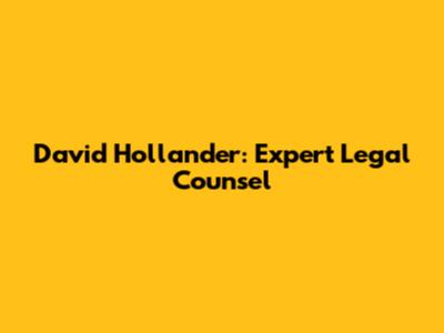 David Hollander: Expert Legal Counsel