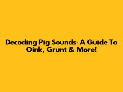 Decoding Pig Sounds: A Guide To Oink, Grunt & More!