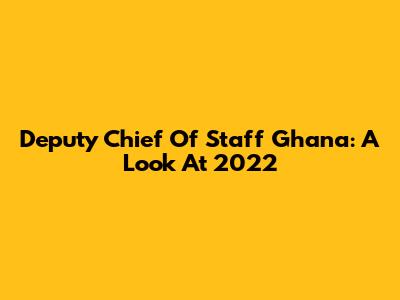 Deputy Chief Of Staff Ghana: A Look At 2022