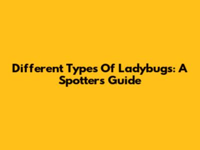 Different Types Of Ladybugs: A Spotter's Guide