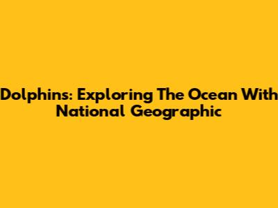 Dolphins: Exploring The Ocean With National Geographic