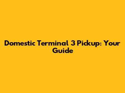 Domestic Terminal 3 Pickup: Your Guide