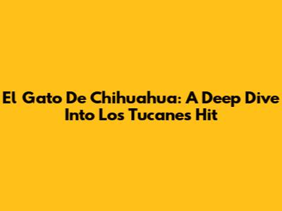 El Gato De Chihuahua: A Deep Dive Into Los Tucanes' Hit