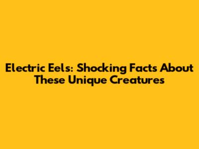 Electric Eels: Shocking Facts About These Unique Creatures