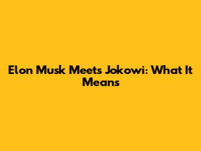 Elon Musk Meets Jokowi: What It Means