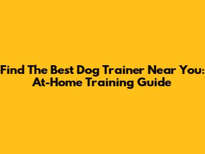 Find The Best Dog Trainer Near You: At-Home Training Guide