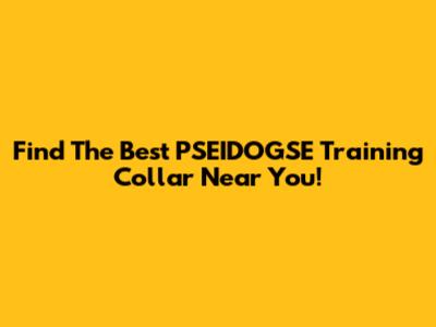 Find The Best PSEIDOGSE Training Collar Near You!