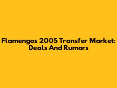 Flamengo's 2005 Transfer Market: Deals And Rumors