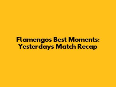 Flamengo's Best Moments: Yesterday's Match Recap