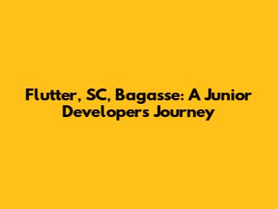 Flutter, SC, Bagasse: A Junior Developer's Journey
