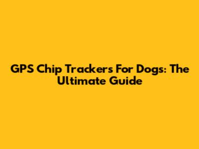 GPS Chip Trackers For Dogs: The Ultimate Guide