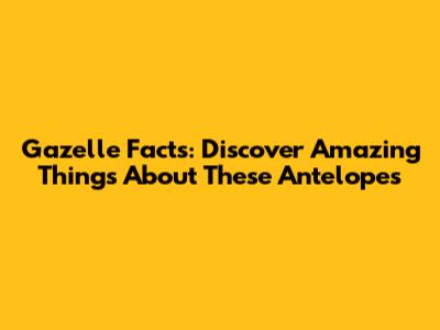 Gazelle Facts: Discover Amazing Things About These Antelopes