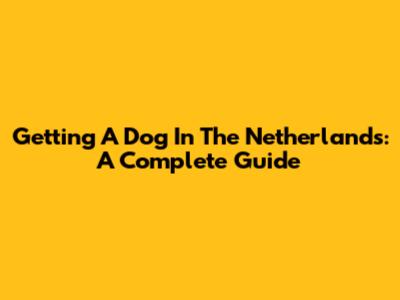 Getting A Dog In The Netherlands: A Complete Guide
