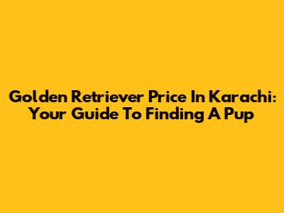 Golden Retriever Price In Karachi: Your Guide To Finding A Pup