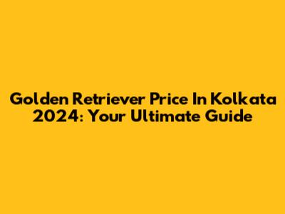 Golden Retriever Price In Kolkata 2024: Your Ultimate Guide