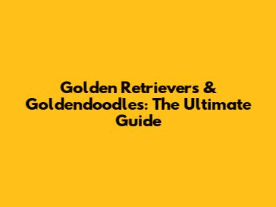 Golden Retrievers & Goldendoodles: The Ultimate Guide