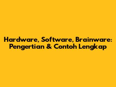 Hardware, Software, Brainware: Pengertian & Contoh Lengkap