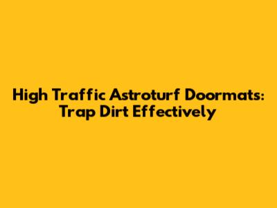 High Traffic Astroturf Doormats: Trap Dirt Effectively