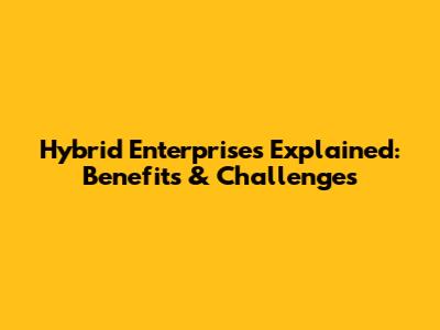 Hybrid Enterprises Explained: Benefits & Challenges