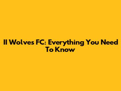 II Wolves FC: Everything You Need To Know