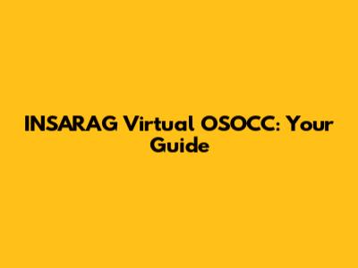 INSARAG Virtual OSOCC: Your Guide