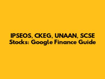 IPSEOS, CKEG, UNAAN, SCSE Stocks: Google Finance Guide