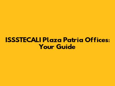 ISSSTECALI Plaza Patria Offices: Your Guide