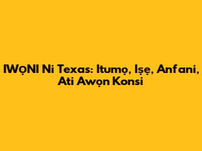 IWỌNI Ni Texas: Itumọ, Iṣẹ, Anfani, Ati Awọn Konsi