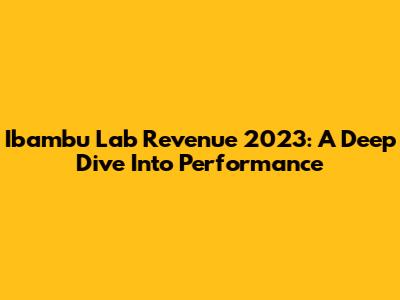 Ibambu Lab Revenue 2023: A Deep Dive Into Performance