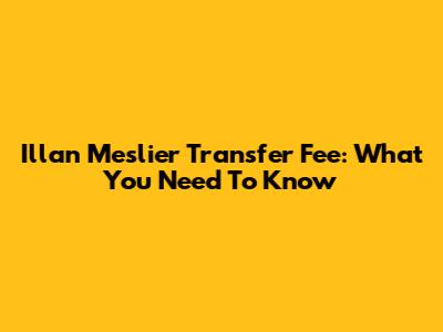 Illan Meslier Transfer Fee: What You Need To Know