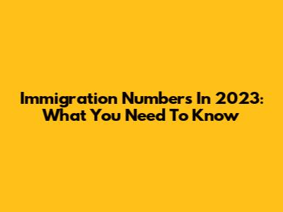 Immigration Numbers In 2023: What You Need To Know