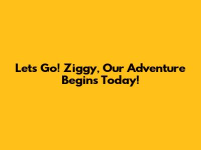 Let's Go! Ziggy, Our Adventure Begins Today!