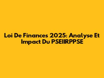 Loi De Finances 2025: Analyse Et Impact Du PSEIIRPPSE