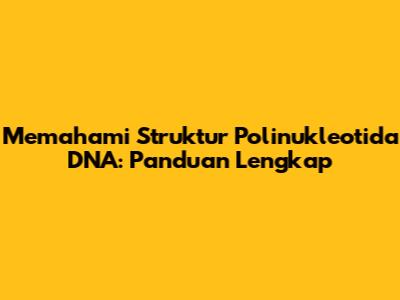 Memahami Struktur Polinukleotida DNA: Panduan Lengkap