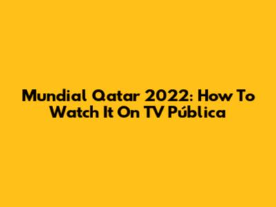 Mundial Qatar 2022: How To Watch It On TV Pública